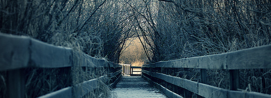 Winter Moments Title Header Winter Moments Title Header
