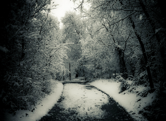 Winter Path Winter Path by Strobehead