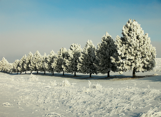 Winter in Montana Winter in Montana by Todd Klassy