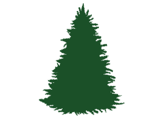 Post Wrinkle Tool The tree should look like this after the Wrinkle Tool