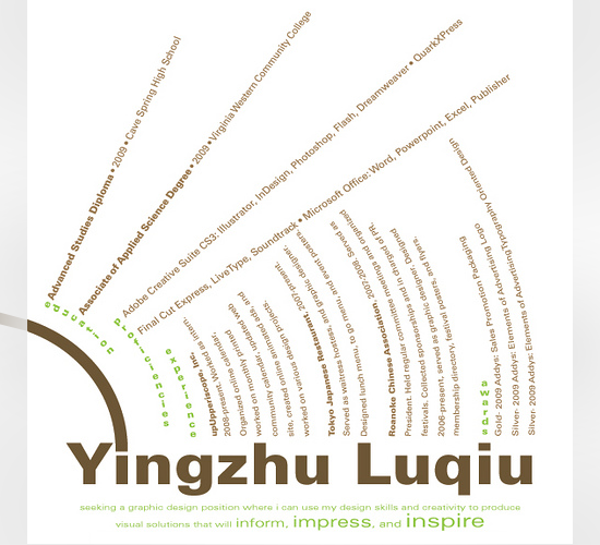 Work Resume by Yingzhu Luqiu