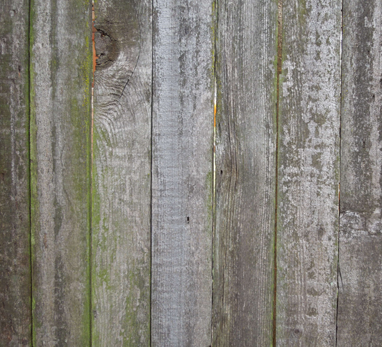 Fence Wood Fence Wood