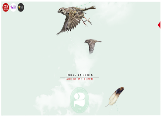 Johan Reinhold - Shoot Me Down
