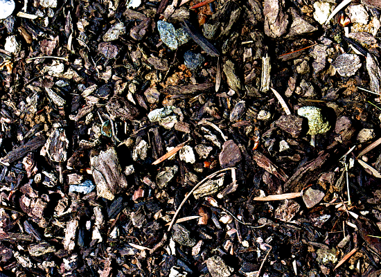 Mulch 2 Mulch 2
