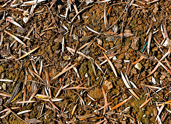 Mulch 3 Mulch 3