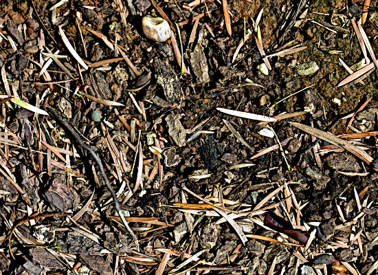 Mulch 4 Mulch 4