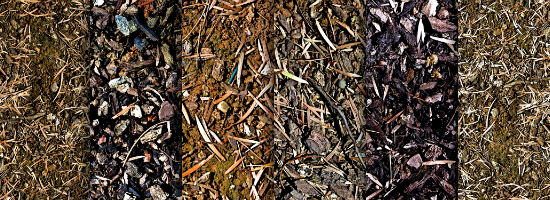 Mulch Title Header Mulch Title Header