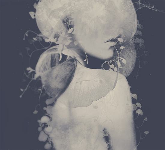 Plateau by Leslie Ann O'Dell