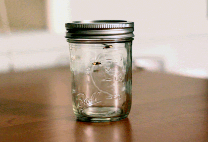 Fireflies Caught In Woodstock by Sam Cannon Fireflies Caught In Woodstock by Sam Cannon