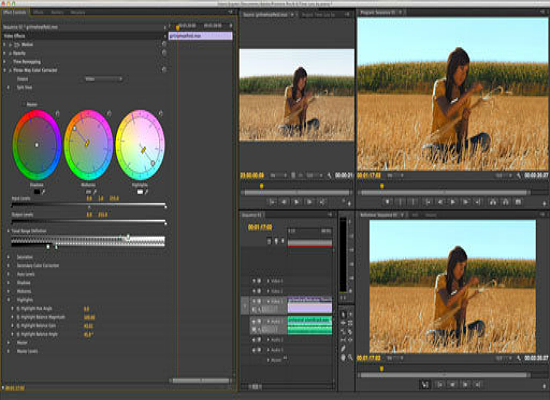 Three-Way Color Corrector Tool