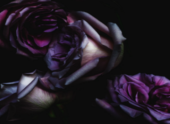 Decaying Flowers by Billy Kidd