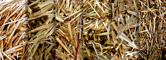 Straw Hay Title Header Straw Hay Title Header