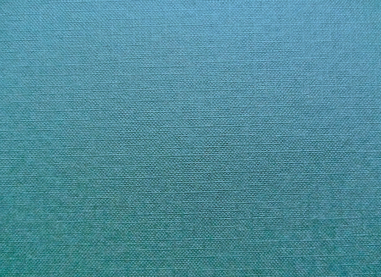 Blue Book Cover Texture