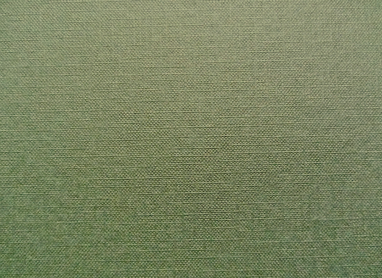 Green Book Cover Texture
