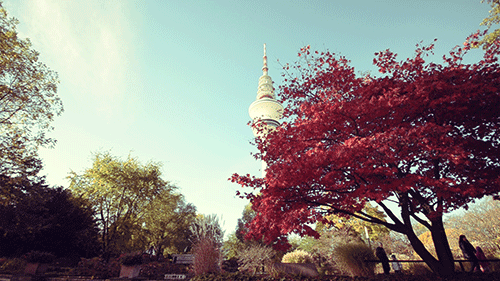 A leafy oasis in the heart of hamburg by Hamburg Cinemagraphs