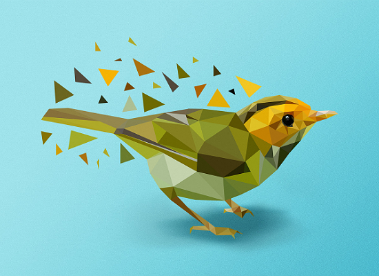 Bird Vector by Camilo Güell