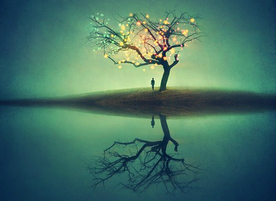 Untitled by Felicia Simion