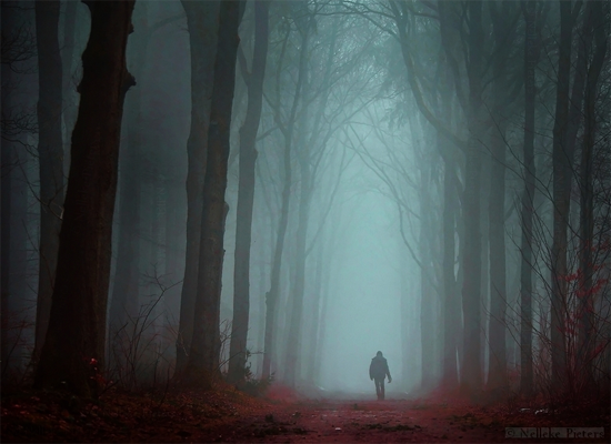 I Walk Alone by Nelleke Pieters