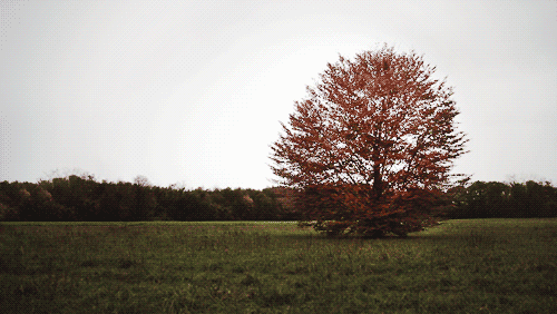 Autumn by Julien Douvier